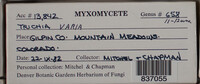 Image Associated With the Occurence